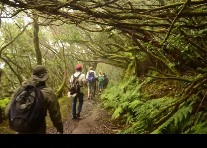 Anaga Playa Benijo 2 Paraiso Rural Trail-beach Apartament Almaciga