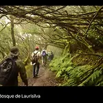 Anaga Playa Benijo 2 Paraiso Rural Trail-beach شقة Almaciga